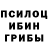 Галлюциногенные грибы мухоморы Antonina Panova