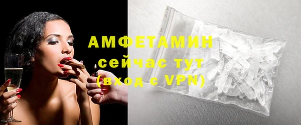 МДПВ Дмитриев